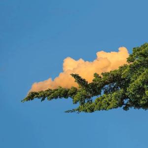 日本小姐姐穿黑丝。被男生操。
