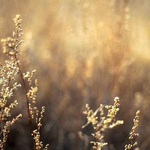 日本小姐姐穿黑丝。被男生操。
